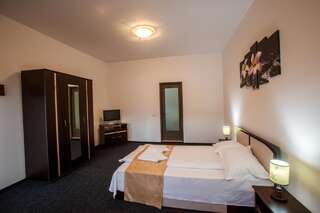 Отели типа «постель и завтрак» Pensiunea Keisd Saschiz Двухместный номер с 1 кроватью или 2 отдельными кроватями и ванной комнатой-5