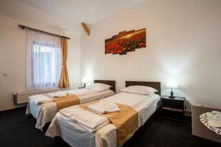 Отели типа «постель и завтрак» Pensiunea Keisd Saschiz Стандартный двухместный номер с 2 отдельными кроватями-4