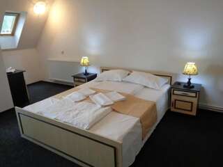 Отели типа «постель и завтрак» Pensiunea Keisd Saschiz Двухместный номер с 1 кроватью или 2 отдельными кроватями и ванной комнатой-6