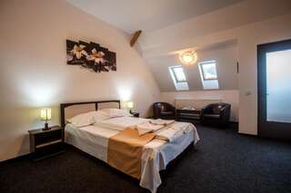 Отели типа «постель и завтрак» Pensiunea Keisd Saschiz Двухместный номер с 1 кроватью или 2 отдельными кроватями и ванной комнатой-10