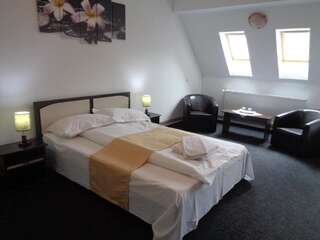 Отели типа «постель и завтрак» Pensiunea Keisd Saschiz Двухместный номер с 1 кроватью или 2 отдельными кроватями и ванной комнатой-14