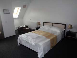 Отели типа «постель и завтрак» Pensiunea Keisd Saschiz Двухместный номер с 1 кроватью или 2 отдельными кроватями и ванной комнатой-15