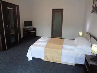Отели типа «постель и завтрак» Pensiunea Keisd Saschiz Двухместный номер с 1 кроватью или 2 отдельными кроватями и ванной комнатой-16